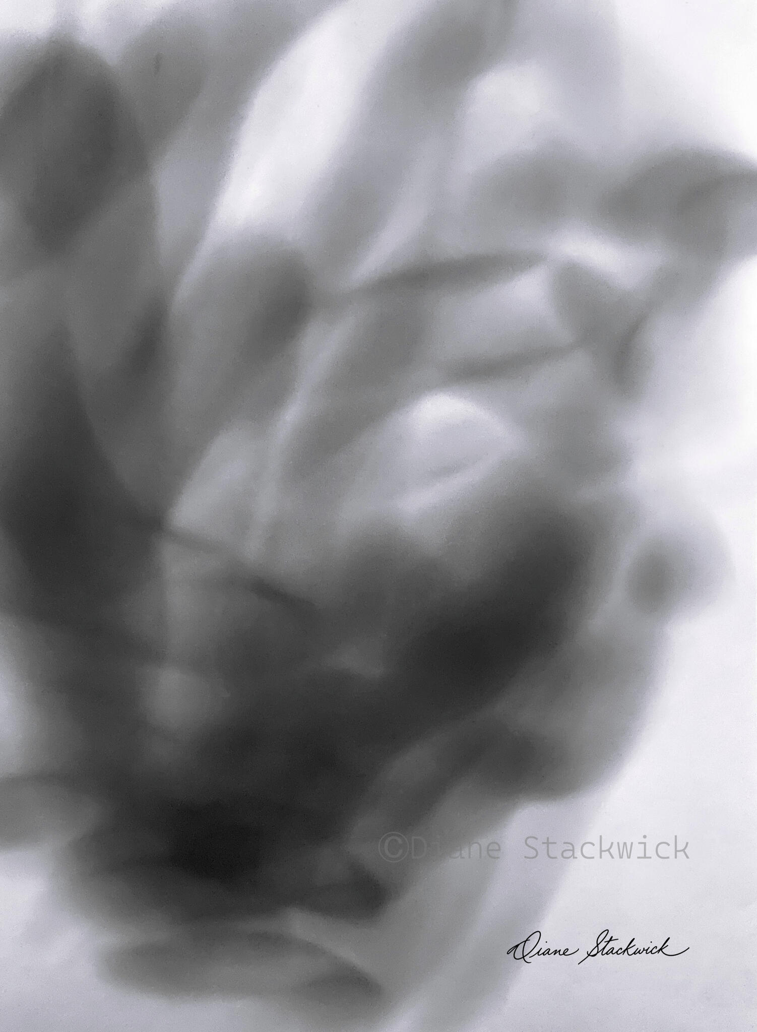 Black-and-white Spirit Image titled The Visitor by Diane Stackwick, featuring layered translucent forms and soft tonal patterns.
